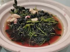 -禧福楼·十五年老店(科技城店)