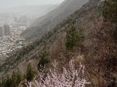 -五泉山公园