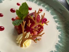 -蝶舍·MAISON PAPILLON