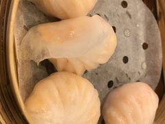 晶莹鲜虾饺-添好运点心专门店(中环IFC店)