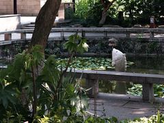 -红梅公园