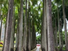 -深圳国际园林花卉博览园