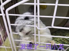 -邦泰·异宠动物医院