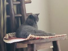 -雅静足浴·男士SPA养生会所