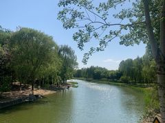 -大兴滨河森林公园