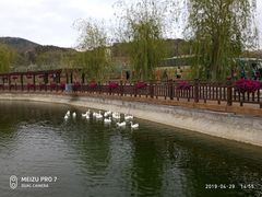 -水云涧温泉滑雪度假区