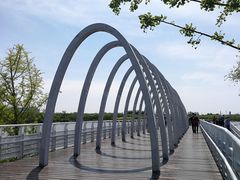 -大兴滨河森林公园