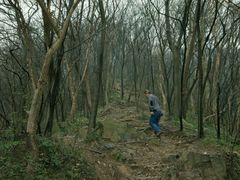 -紫金山天文台