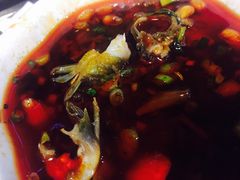 -蜀滋香鲜鱼美蛙火锅(339店)