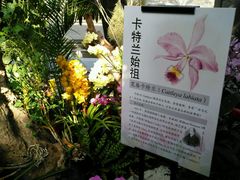-北京植物园-展览温室