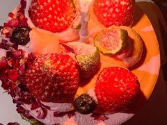 -维尔纳斯·生日蛋糕·动物奶油冰淇淋蛋糕(六里桥店)