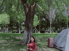 -长白岛森林公园