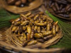 -昆虫窝子·特色云南菜(拓东路总店)