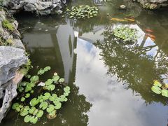-苏州冶园园林民宿(太湖西山风景区店)