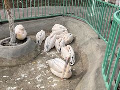 -水上乐园·欢乐世界