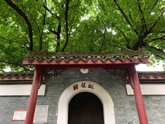 -柳侯公园