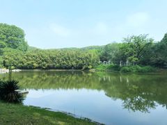-河南省黄河迎宾馆