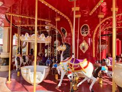 -大兴滨河森林公园