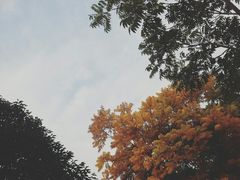 -昆山城市生态森林公园