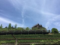 -天地生态农庄