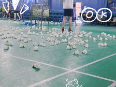 -V7动力羽毛球会馆