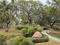 -东莞植物园