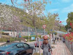 -小南山公园