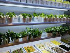 -领鲜活海鲜榴莲自助火锅(东门店)