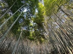 -敬亭山风景名胜区