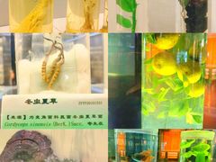 -广东中医药博物馆
