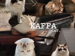 -咖法森林·咖啡  酒吧(天河店)