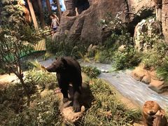 -陕西自然博物馆