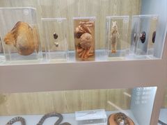 -下渚湖国家湿地公园科普馆