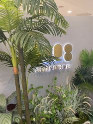 -八佰伴8008星级形象店