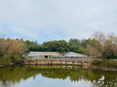 -鄱阳湖国家湿地公园