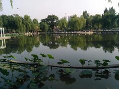 -丰台花园