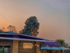 -正宗火盆自助烧烤·烤全羊·柴火鸡(龙泉山店)