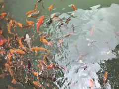 -灵栖洞天