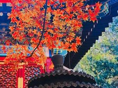 -香山公园-东宫门售票处