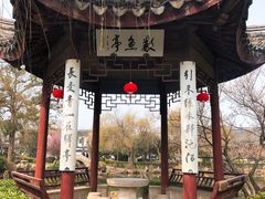 -司徒庙