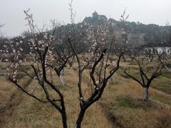 -林屋洞景区