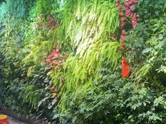 -泽云梵莲花足浴 按摩 SPA(滨湖店)