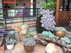 -山菌美食苑(振兴路店)