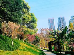 -重庆彩云湖湿地公园