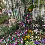 花开中国梦[加油][礼花][礼花][礼花]