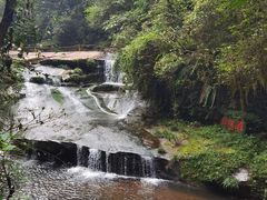 -碧峰峡风景区