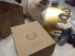 -洛佩塔蛋糕