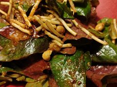 贵州折耳根-雀舞云南菜(天津天河城购物中心店)