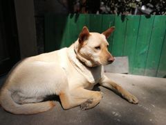 -Cactus墨西哥仙人掌餐厅