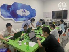 -蓝精灵创客少儿编程(百步亭中心)